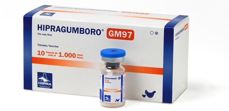 HIPRAGUMBORO-GM97®